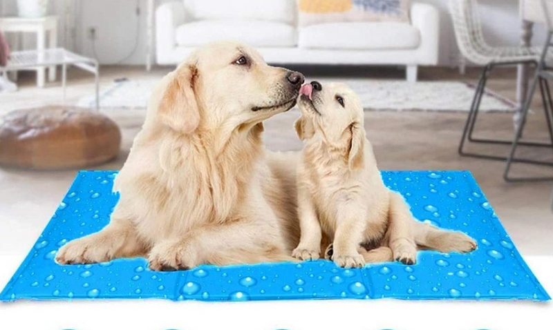 MANTA DE GEL FRÍO PARA MASCOTAS